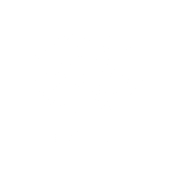 Guadalajara Icon White With Text