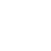 Los Angeles Icon White With Text