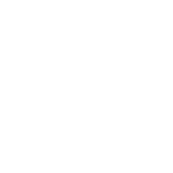 Mexico City Icon White With Text