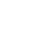 New Orleans Icon White With Text