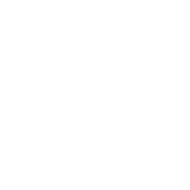 Shanghai Icon White With Text