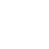 Tbilisi Icon White With Text