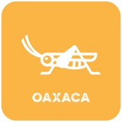 Oaxaca