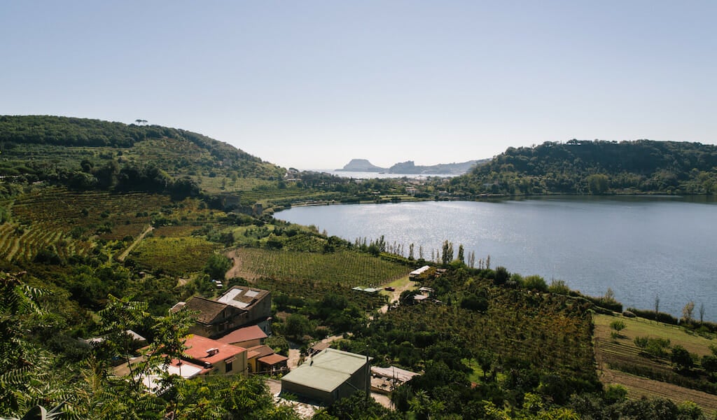 Harvest Time in the Cradle of Wine: A Georgian Culinary Adventure