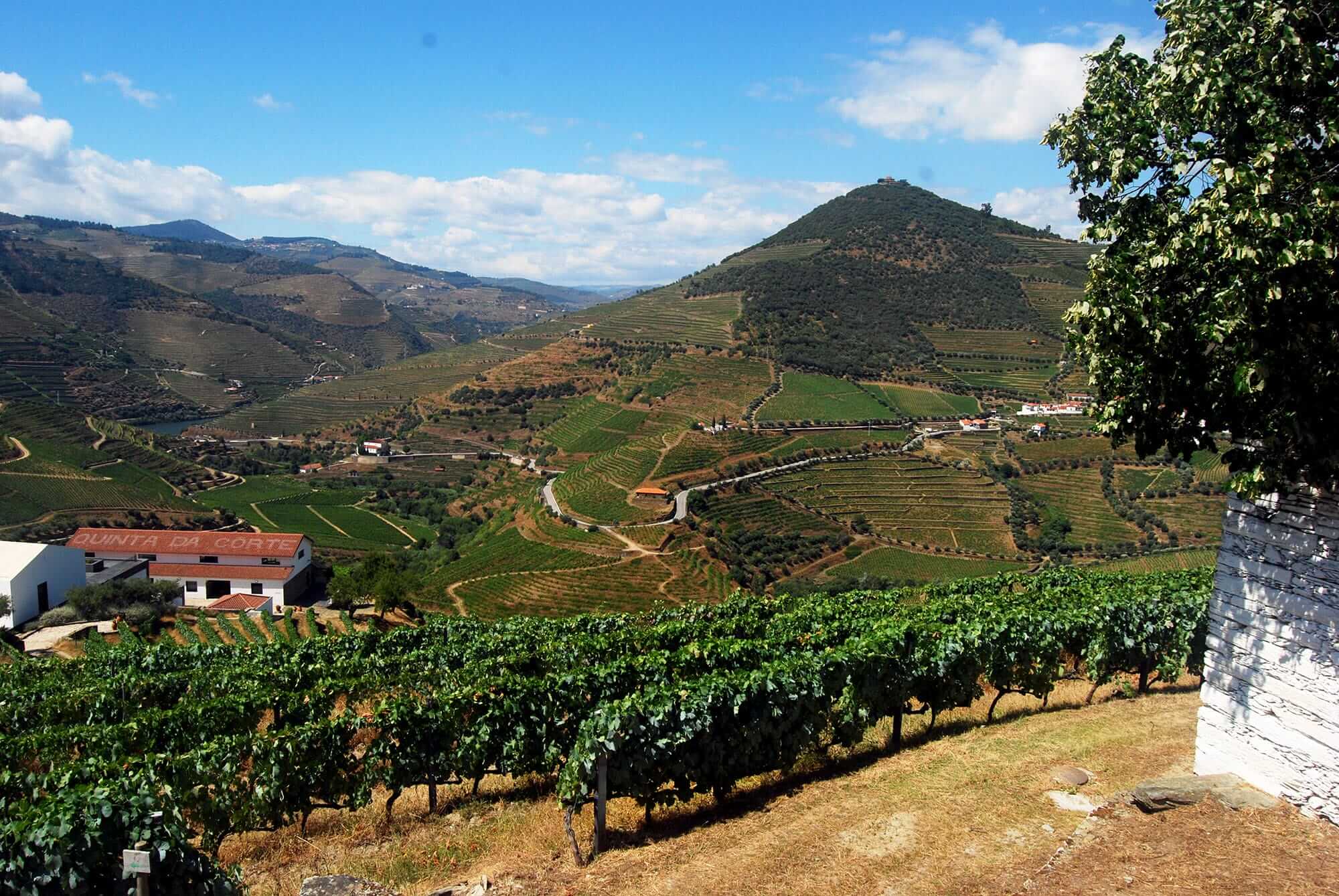 Milk Street on the Road: Trás-os-Montes, Portugal