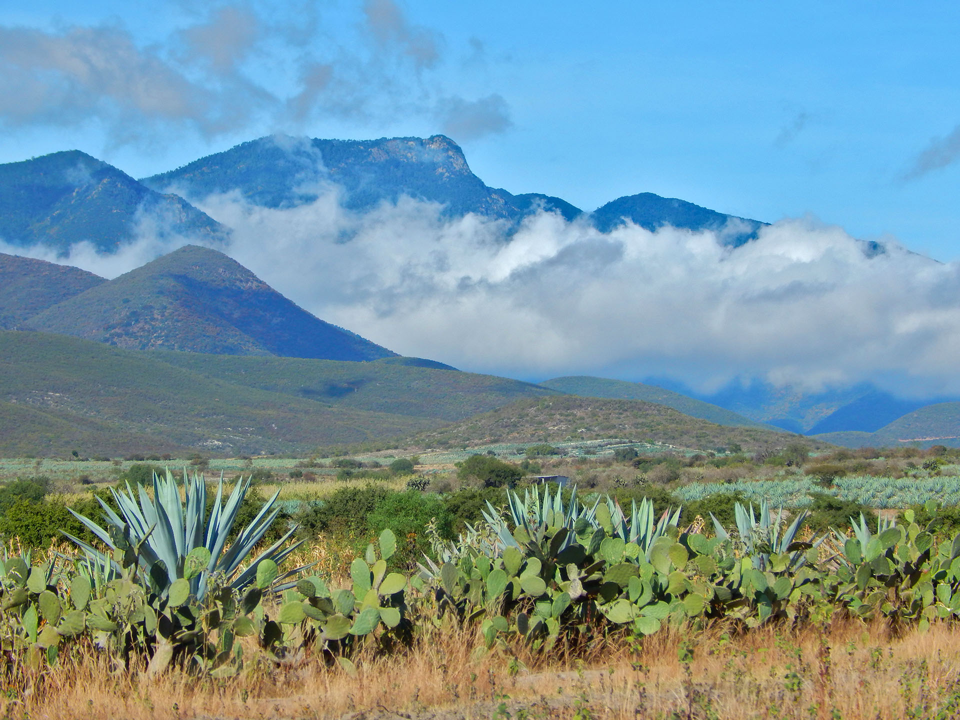 A Journey Into the Heart & Soul of Mexican Cooking